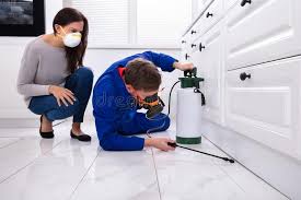 Real Estate Pest Inspections in Coats Bend, AL